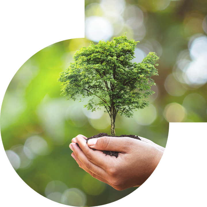 關懷人類、文化、環境與社會