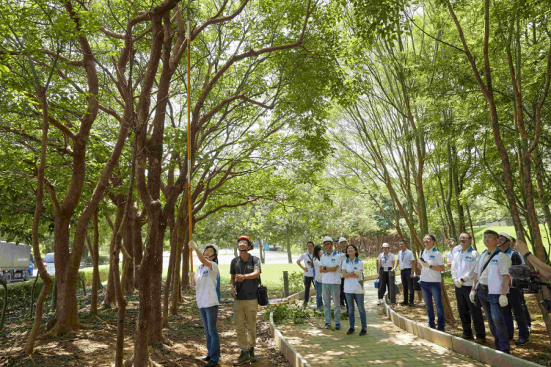 藝師教導大家認識樹木、檢查樹的健康狀況，學習修枝及碎枝覆土